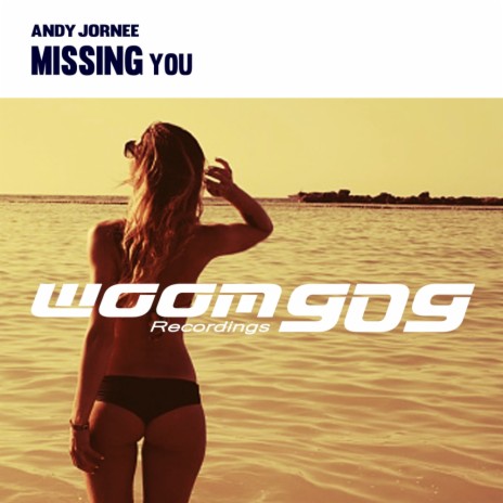 Missing You (Original Mix) | Boomplay Music