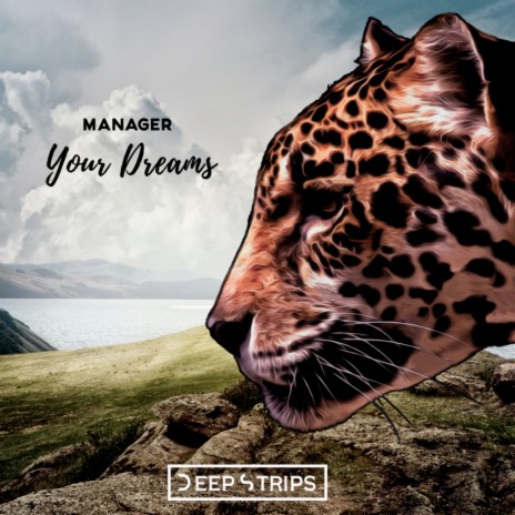 Your Dreams (Original Mix) | Boomplay Music