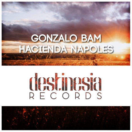 Hacienda Napoles (Original Mix) | Boomplay Music