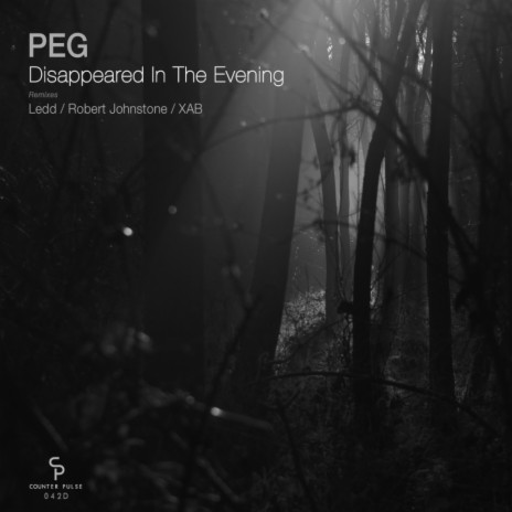 Disappeared In The Evening (Ledd Remix)