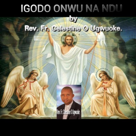 Igodo Onwu Na Ndu | Boomplay Music