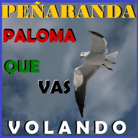 Paloma Que Vas Volando | Boomplay Music
