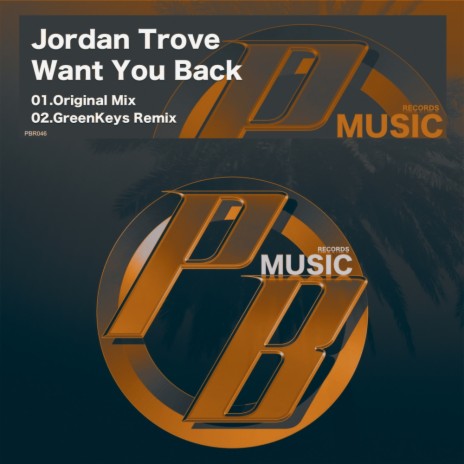 Want You Back (Original Mix)