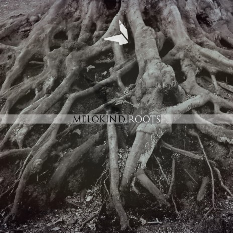 Roots | Boomplay Music