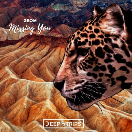 Missing You (Original Mix)
