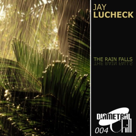 Then the Rain Falls | Boomplay Music