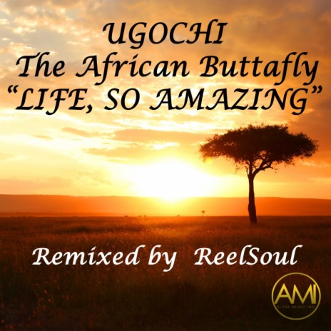 Life, So Amazing (Reelsoul Vocal Remix)