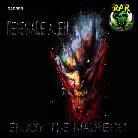 Enjoy The Madness (Original Mix)