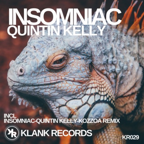 Insomniac (Original Mix) | Boomplay Music