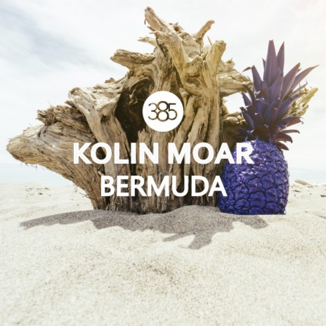 Bermuda (Radio Edit) | Boomplay Music