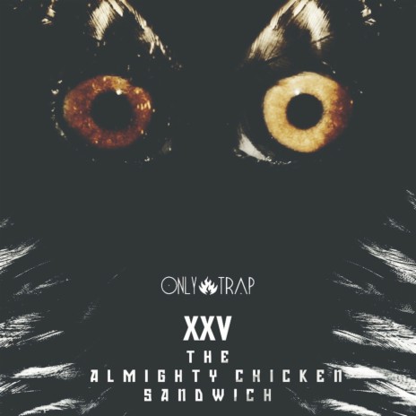 The Almighty Chicken Sandwich (Original Mix) | Boomplay Music