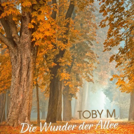 Die Wunder der Allee | Boomplay Music