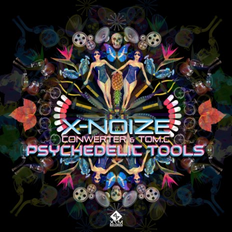 Psychedelic Tools (Original Mix) ft. Conwerter & Tom.C | Boomplay Music