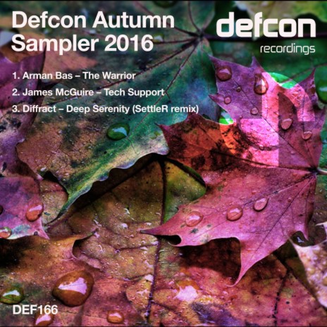 Deep Serenity (SettleR Remix) | Boomplay Music