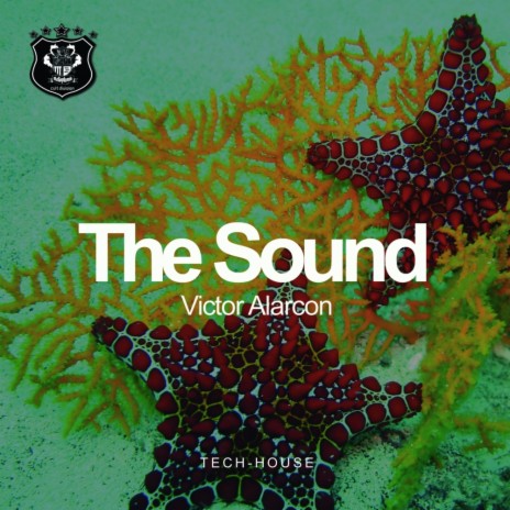 The Sound (Original Mix) | Boomplay Music