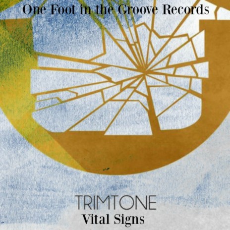Vital Signs (Trimtone's Touch of Soul Mix)