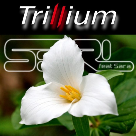Trillium (DJ Edit) ft. Sara | Boomplay Music