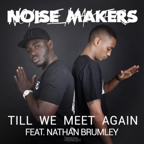 Till We Meet Again (Original Mix) ft. Nathan Brumley