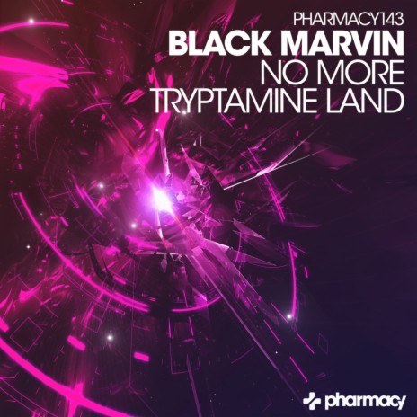 Tryptamine Land (Original Mix)