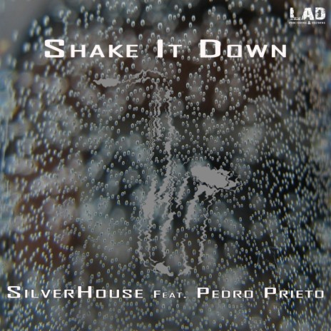 Shake It Down (Radio Edit) ft. Pedro Prieto | Boomplay Music
