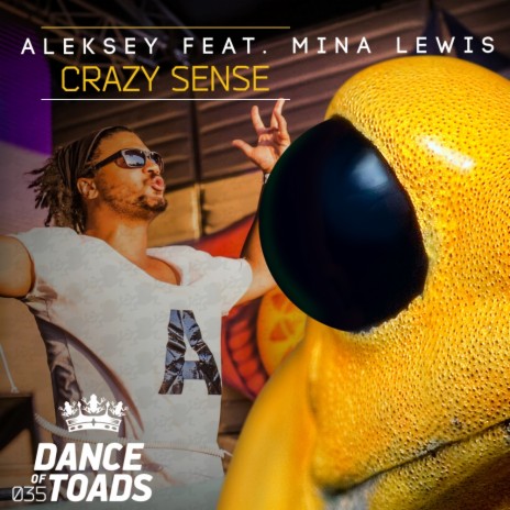Crazy Sense (Radio Edit) ft. Mina Lewis | Boomplay Music