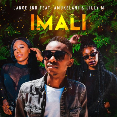 Imali (Original Mix) ft. Amukelani & Lilly M | Boomplay Music