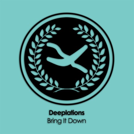 Bring It Down (Original Mix)