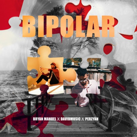 Bipolar ft. DavidMusic & Perzyan | Boomplay Music