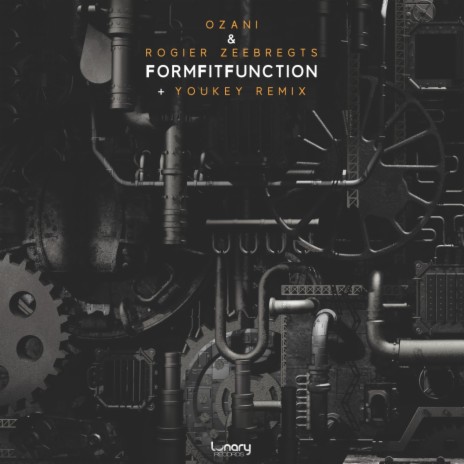 FormFitFunction (Original Mix) ft. Rogier Zeebregts