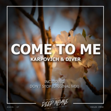 Come To Me (Original Mix) ft. Diver | Boomplay Music