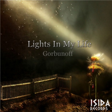 Lights In My Life (Original Mix)