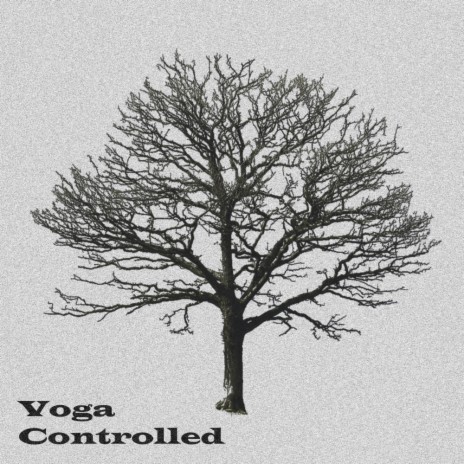 Controlled (Original Mix)
