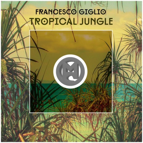 Tropical Jungle (Original Mix)