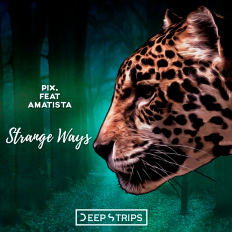 Strange Ways (Original Mix) ft. Amatista | Boomplay Music