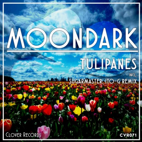 Tulipanes (Original Mix) | Boomplay Music