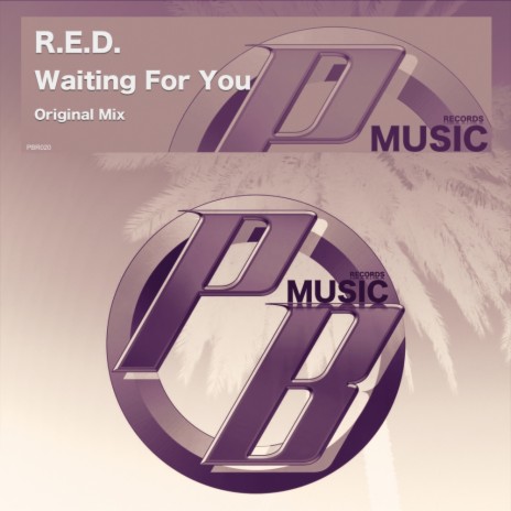 Waiting For You (Original Mix)