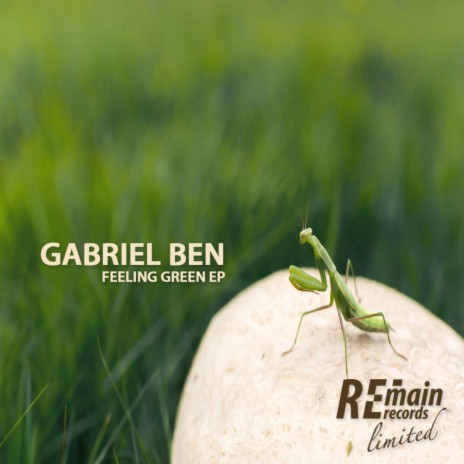 Feeling Greenish (Original Mix)
