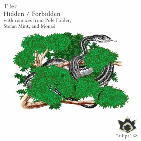Forbidden (Pole Folder Remix)