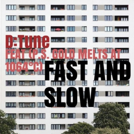 Fast & Slow (Original Mix) ft. (P.S. Gold Melts at 1064ºC) | Boomplay Music