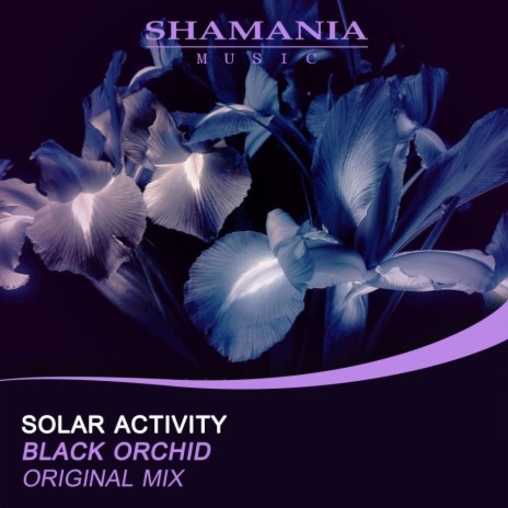 Black Orchid (Original Mix)