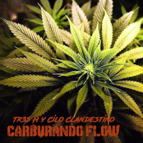 Carburando Flow ft. Tr3s H | Boomplay Music