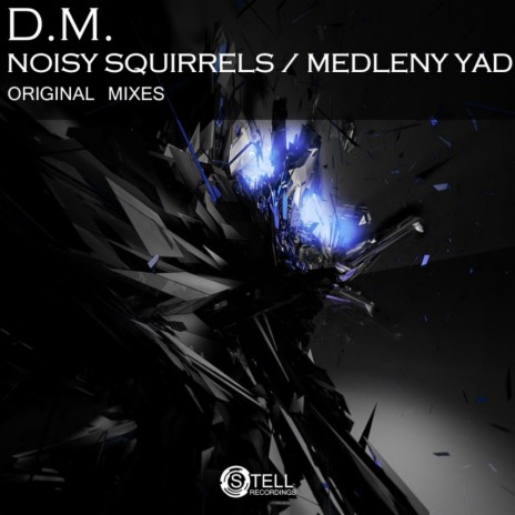 Medleny Yad (Original Mix) ft. Dulcis Sanguinis Domini | Boomplay Music