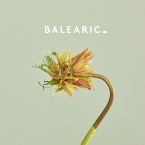 Sunflower (Balearic Dub) | Boomplay Music
