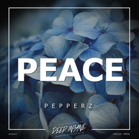 Peace (Original Mix) | Boomplay Music