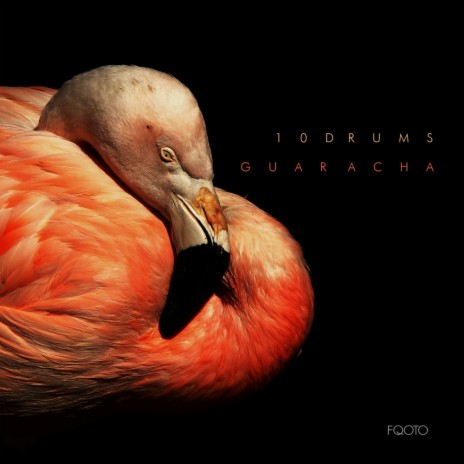 Guaracha (Original Mix) | Boomplay Music