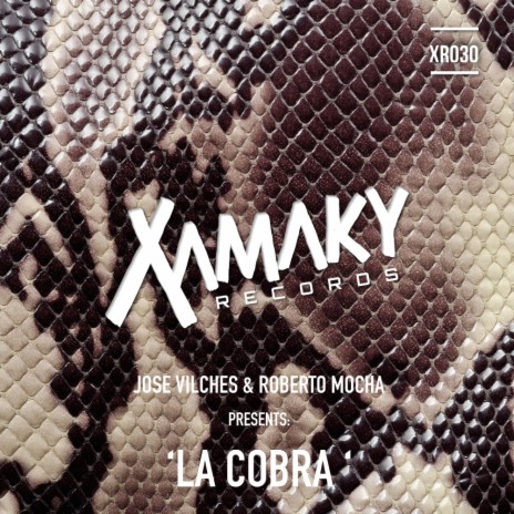 La Cobra (Original Mix) | Boomplay Music