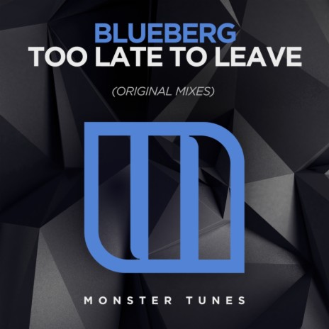 Too Late To Leave (Extended Mix) | Boomplay Music