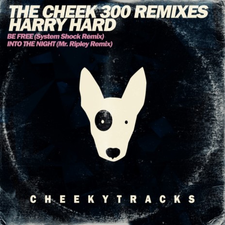 Into The Night (Mr Ripley 'Cheek300' Remix) ft. Harry Hard | Boomplay Music