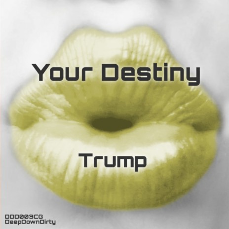 Your Destiny (Original Mix)