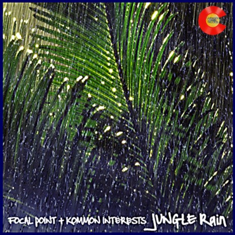 Jungle Rain (Original Mix) ft. Kommon Interests & Ricky Arnett | Boomplay Music